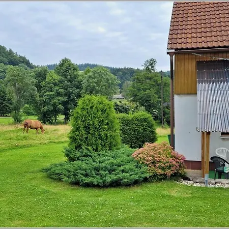 Apartment Janovice Jivka